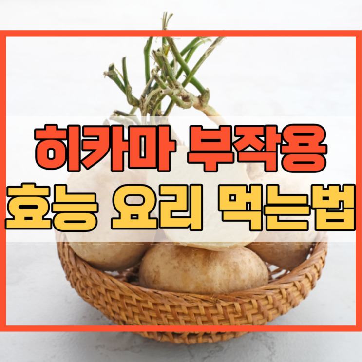  히카마 부작용 효능 요리 먹는법 알아볼까요?