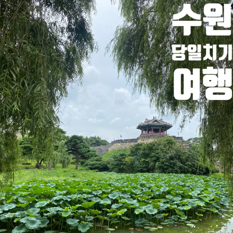  인생 첫 수원 행궁동 뚜벅이 당일치기 코스 맛집남문떡볶이 사맛디커피실록 꾸안