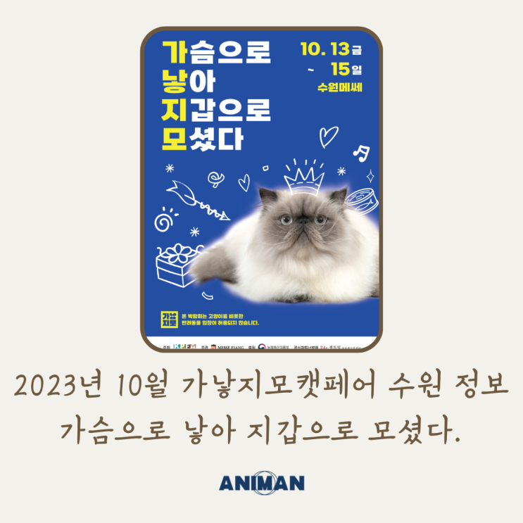  2023년 10월 수원 가낳지모 캣페어 정보 / 수원 고양이 박람회