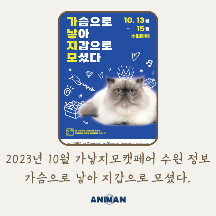 2023년 10월 수원 가낳지모 캣페어 정보 / 수원 고양이 박람회