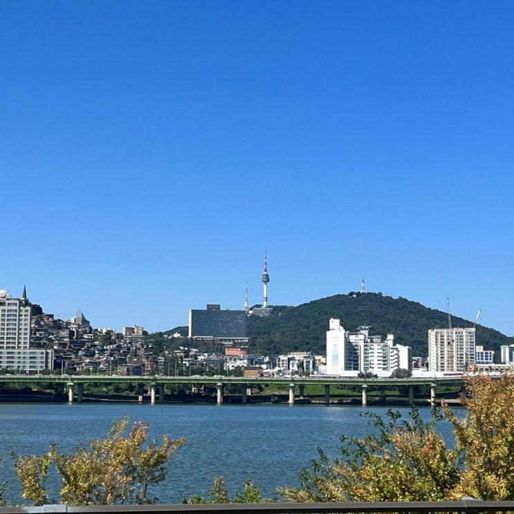  마블런 한강에서 미리 준비해보기