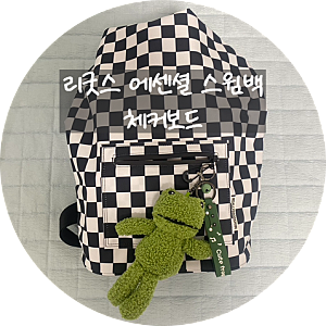 리굿스 수영가방 장단점 솔직리뷰 | 리얼리굿스윔 에센셜 스윔백 체커보드 (feat. 왓츠인마이....