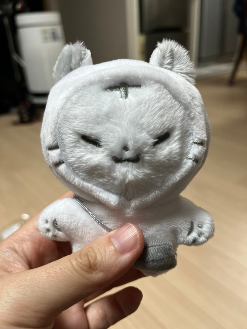 SEVENTEEN ホシのぬいぐるみ「ホッジ」開封！4次購入品