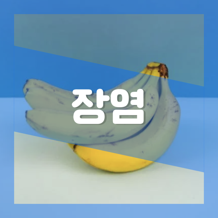  장염 먹어도 되는 음식 과일 야채 각 5개 : 급성 장염
