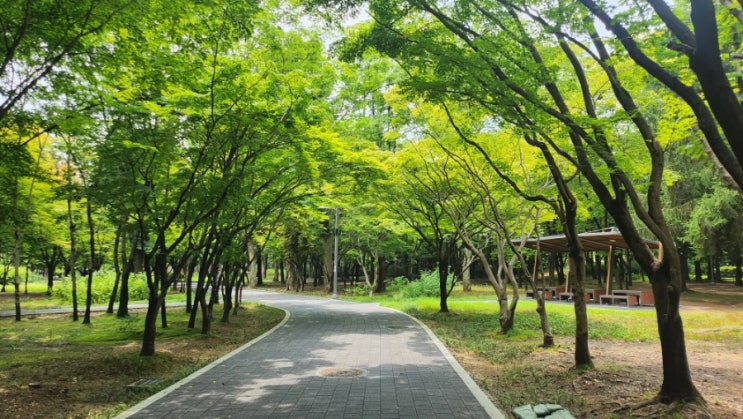  서울 산책길 데이트 양재시민의숲 매헌시민의숲