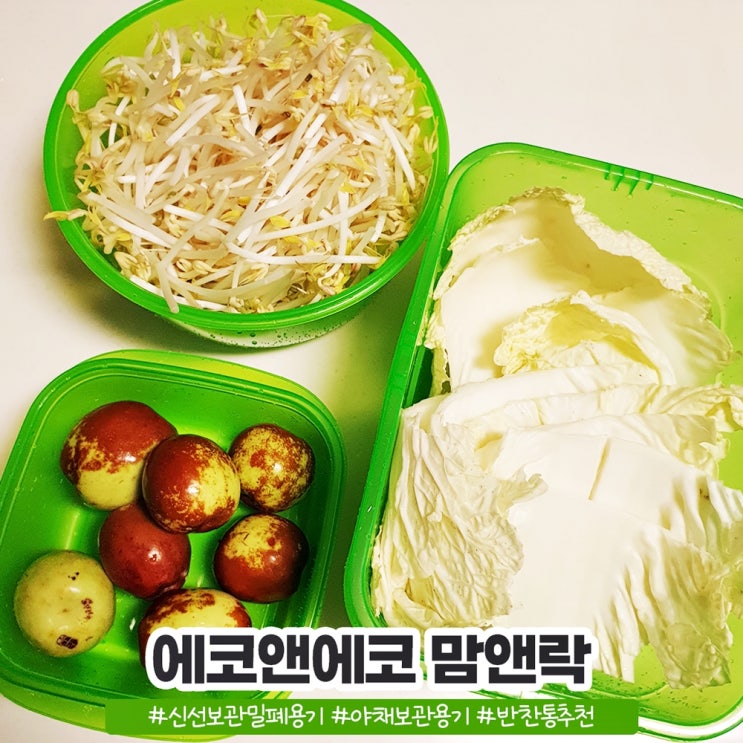 에코앤에코 맘앤락 신선보관밀폐용기 2인가구 야채보관용기 에코앤에코 맘앤락 신선보관밀폐용기 2인가구 야채보관용기