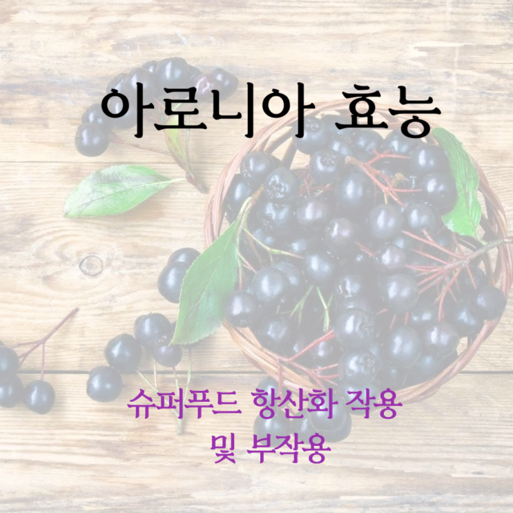  아로니아 효능 슈퍼푸드 항산화 작용 및 부작용