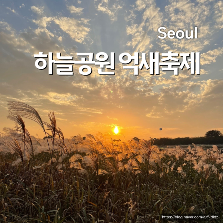  서울 하늘공원 억새축제 일정 가는법 주차 가을 나들이 가볼만한 곳