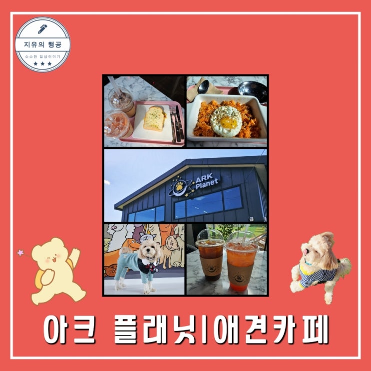 용인 아크 플래닛 애견 카페ㅣ넓은 실내 운동장 내돈내산 솔직후기