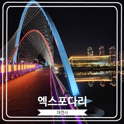 [엑스포다리] 아름답고 낭만적인 뷰로 유명한 대전의 야경 핫플레이스