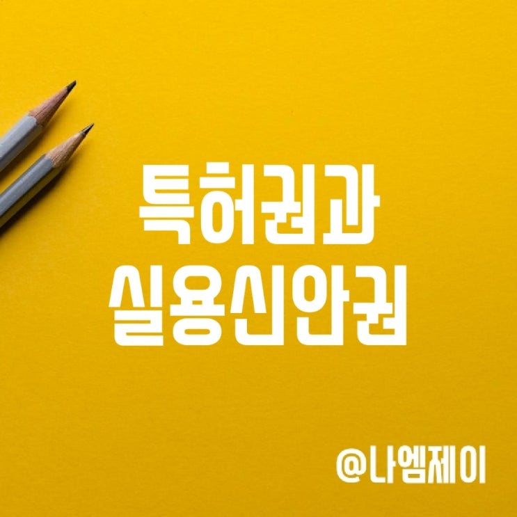 특허권 실용신안권 뜻과 차이 특허권 실용신안권 뜻과 차이