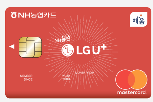  NH농협 올 원 LG U+ 카드(10월 유플러스 프로모션&놀이공원 전용 카드)