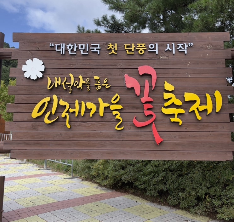  강원도 인제 가볼만한 곳 : 인제 가을 꽃 축제