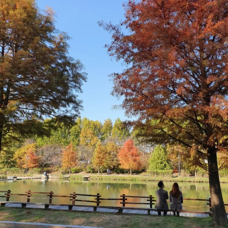  가을 단풍여행하기 좋은 담양 가볼 만한 곳 추천