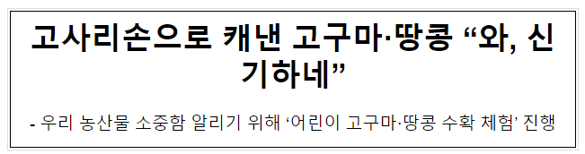 고사리손으로 캐낸 고구마·땅콩 “와, 신기하네” 고사리손으로 캐낸 고구마·땅콩 “와, 신기하네”