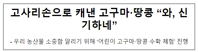 고사리손으로 캐낸 고구마·땅콩 “와, 신기하네”