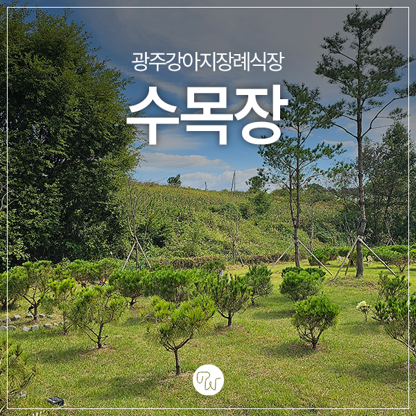  광주강아지장례식장 수목장 하늘에서 건강하게 뛰어놀도록