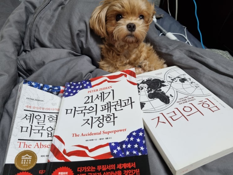 이스라엘과 <b>하마스</b> 팔레스타인은 왜 싸우는 걸까? (미국과... 