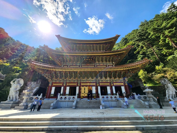  제천 단양여행 / 박달재 자연휴양림, 제천향교, 교동민화마을, 단양패러글라이딩, 구인사