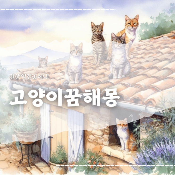  많은 고양이꿈 해몽 모음
