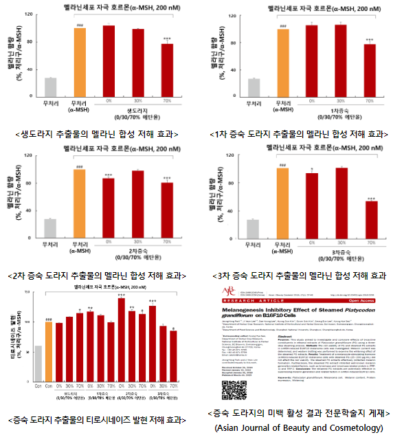 ‘찐 도라지’ 미백 효과 톡톡 ‘찐 도라지’ 미백 효과 톡톡