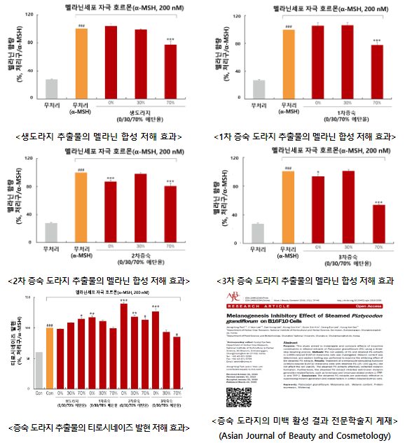 ‘찐 도라지’ 미백 효과 톡톡