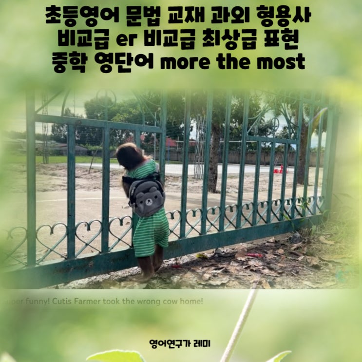 초등영어 문법 교재 과외 형용사 비교급 er 비교급 최상급 표현 중학 영단어 more the most 초등영어 문법 교재 과외 형용사 비교급 er 비교급 최상급 표현 중학 영단어 more the most