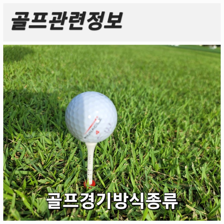 [골프정보] 골프경기방식종류(스트로크,매치플레이,포섬,포볼,변형스테이블포드)