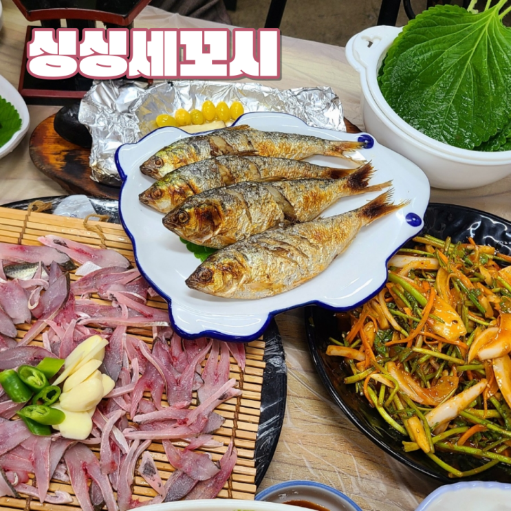 [군산 은파유원지 맛집] "싱싱세꼬시" :: 구이, 회, 무침으로 즐기는 가을 전어
