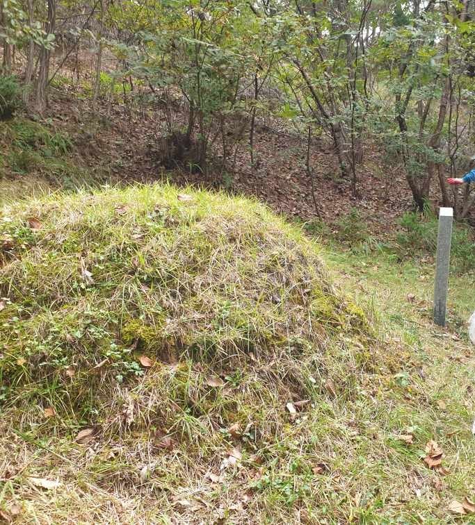  2023년 경북 김천시  어모면 능치리 1기 납골당 안치 고인돌장묘개발장의사 #구미장의사 #선산장의사 #상주장의사 #성주장의사 #문경장의사 #영동장의사