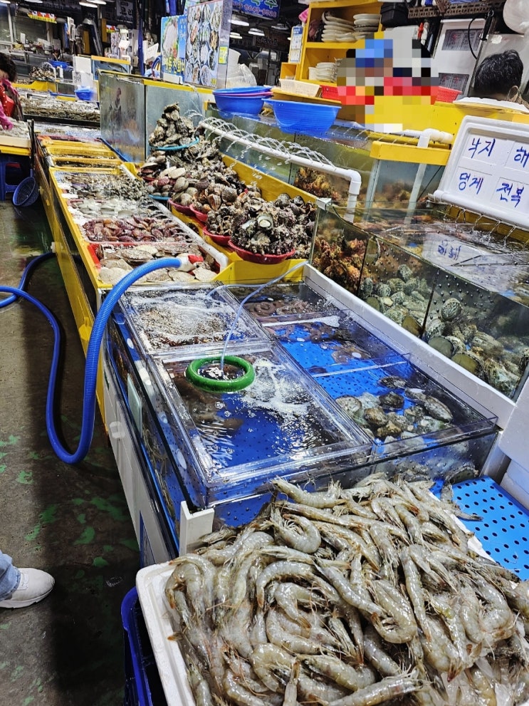  궁평항 수산시장에서 회 먹고 온누리 상품권 받아온 후기