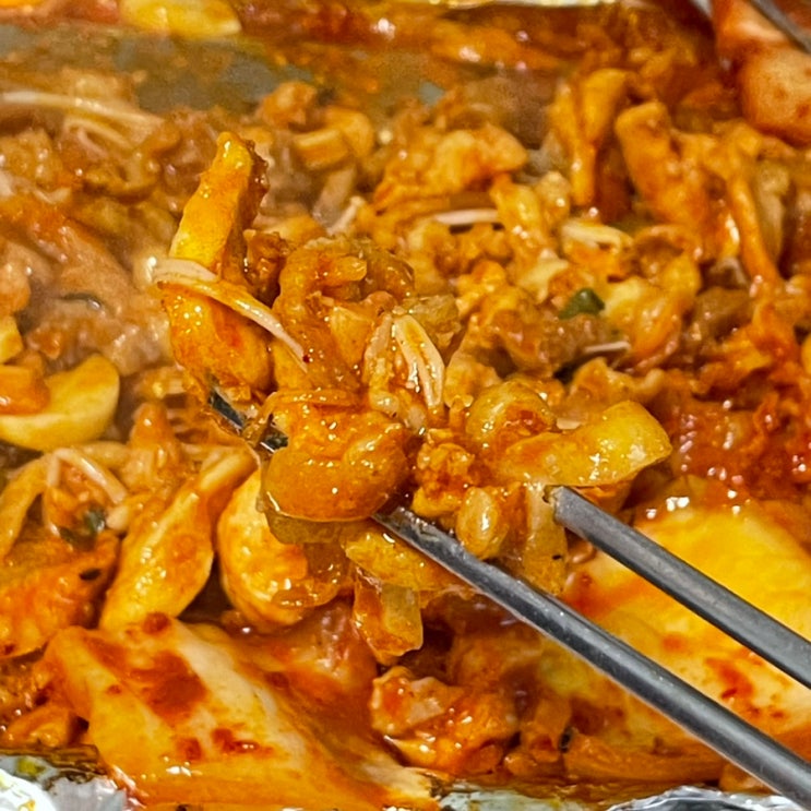  해남 맛집 진솔통닭 닭코스요리 전문점 추천