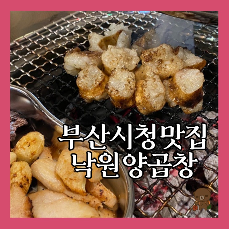 부산 시청 맛집 낙원양곱창 식감이 남다른 특양 숯불구이 전문점