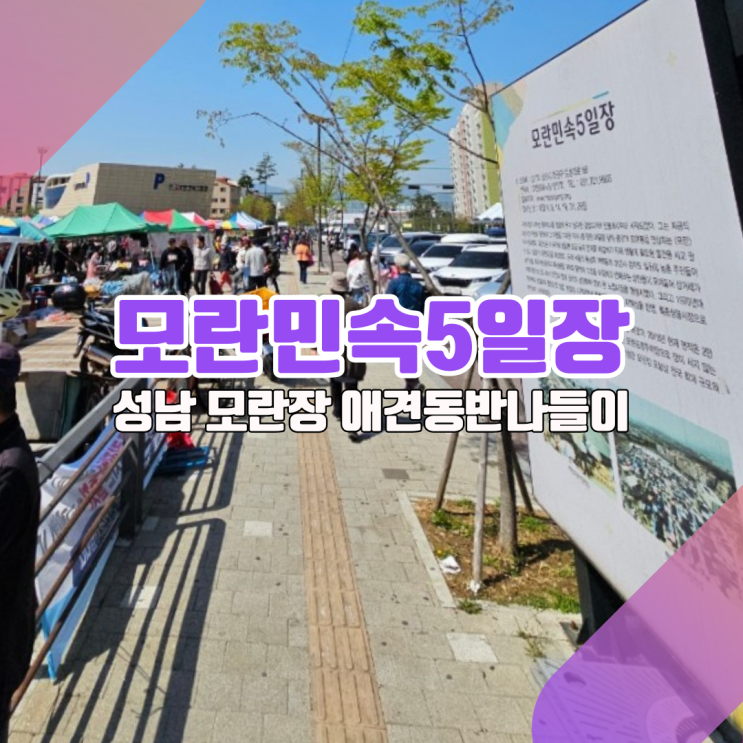  성남 모란시장5일장 강아지랑 동반할때 꼭 알아야 할 3가지