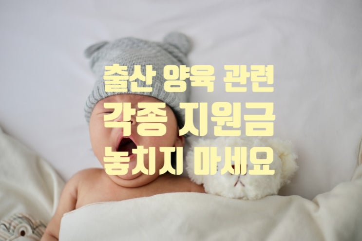  아이가 태어난 가정에서 받게되는 지원금 : 출산 양육 관련 지원금을 챙기세요