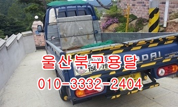 울산북구용달 불국사 입실 모화 제주도 울릉도. 울산북구용달 불국사 입실 모화 제주도 울릉도.