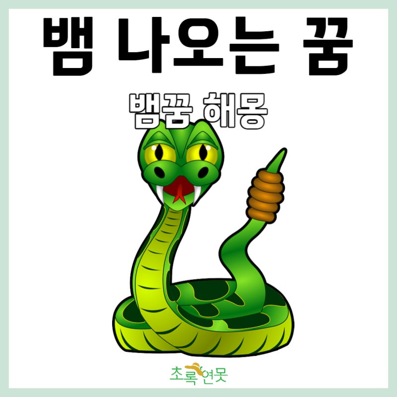 뱀 나오는 꿈 흰색 검은색 붉은색 녹색 뱀꿈 해몽