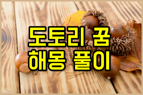 도토리 줍는 꿈 도토리꿈 태몽 해몽 풀이