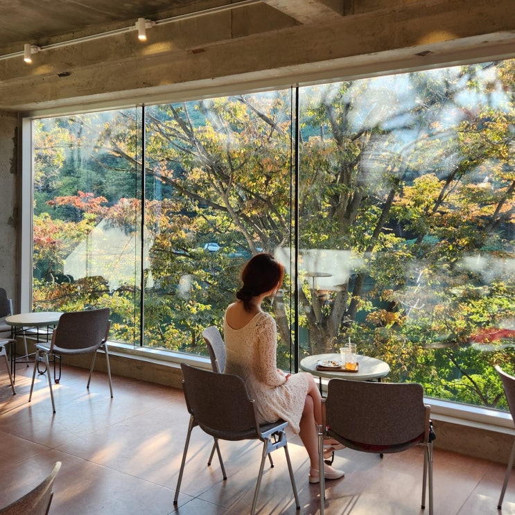  가을 엔학고레 공주 단풍 데이트 시즌