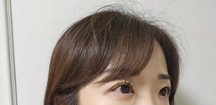 지속력 좋은 특별한 광교 LED 속눈썹 연장 : 블루디션 지속력 좋은 특별한 광교 LED 속눈썹 연장 : 블루디션