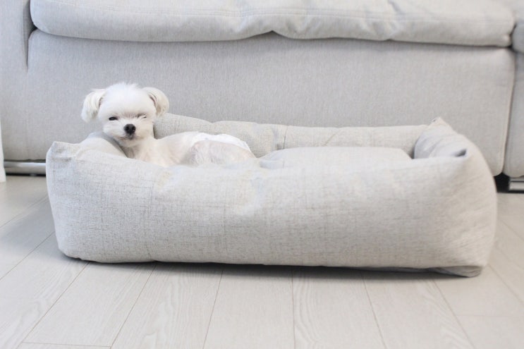  강아지방석 Barky 프리미엄 범퍼침대