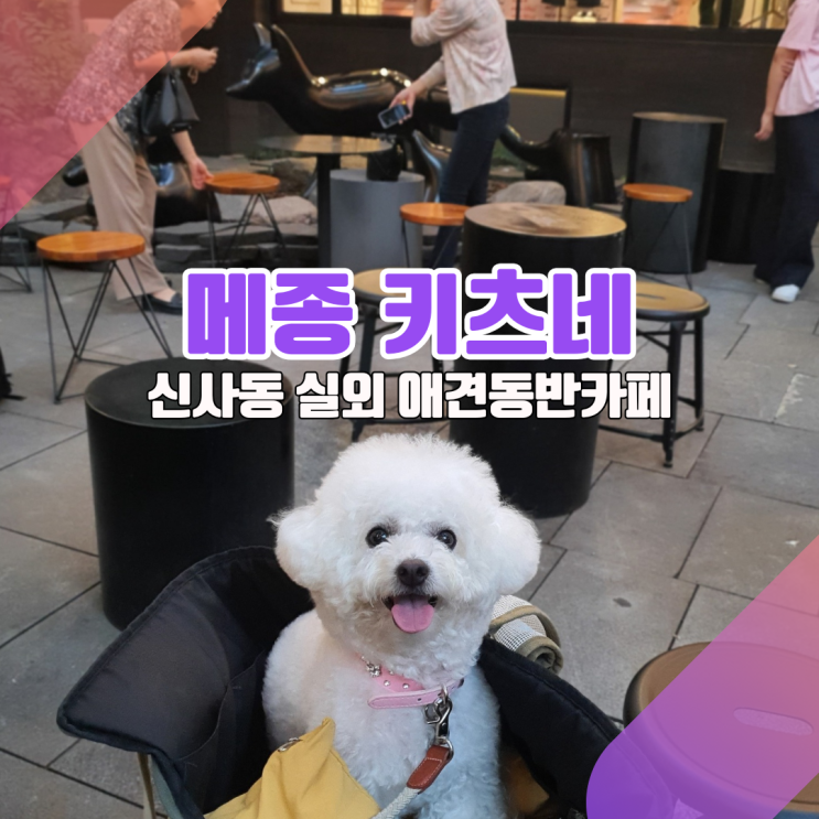  [강남구 신사동 가로수길_메종키츠네 카페] 야외 애견동반하기 좋은 이유