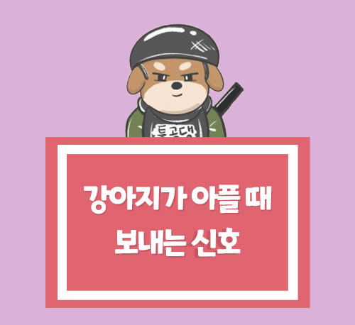  강아지가 아플 때 보내는 신호