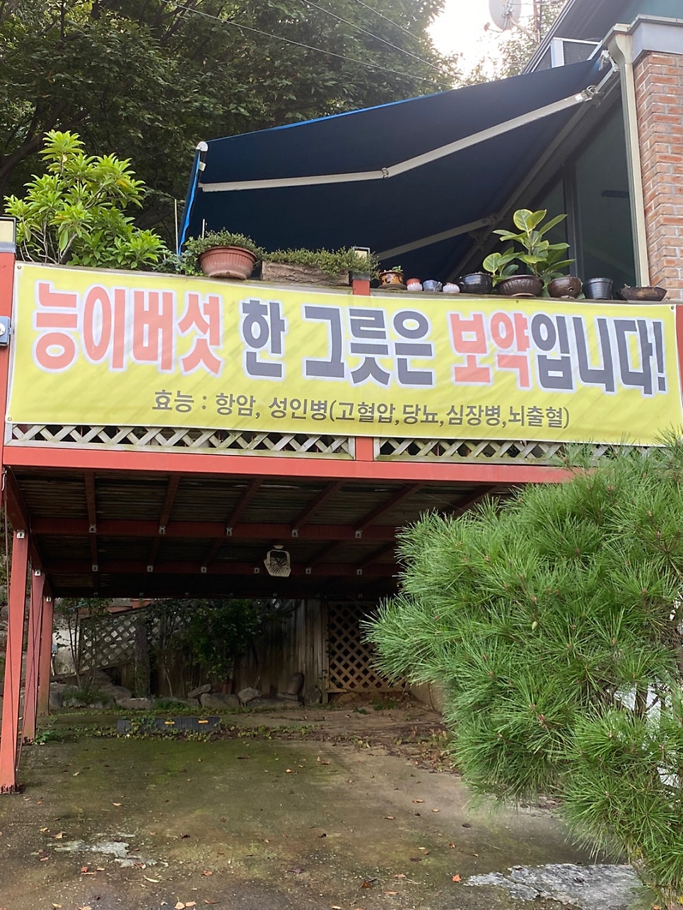 대추골 2호점 사진 7