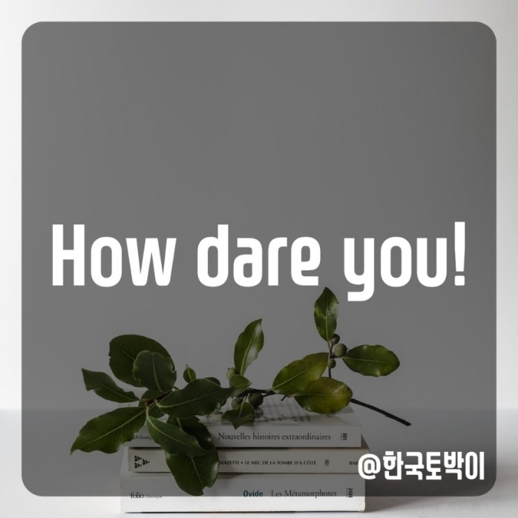  니가 감히 영어로 (how dare you 뜻)