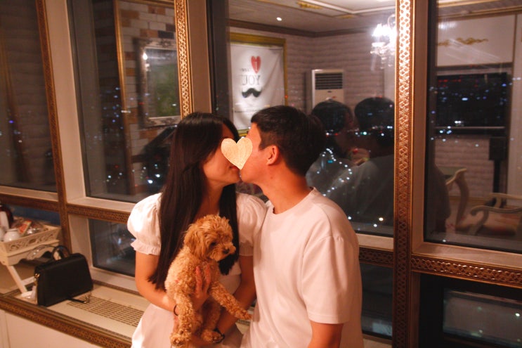  서울 애견동반 반려견 파티룸 이벤트카페 추천장소