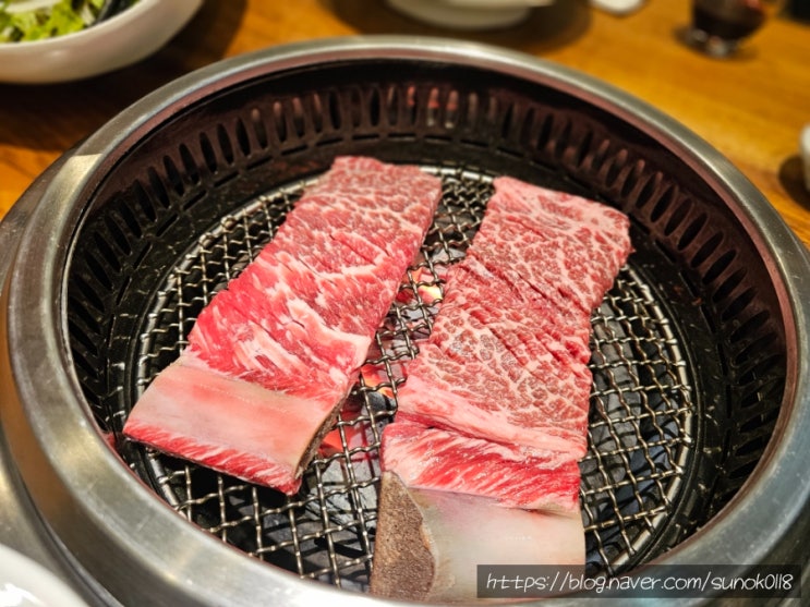  일산 룸있는 식당 우설화 생갈비코스(ft.남편생일)