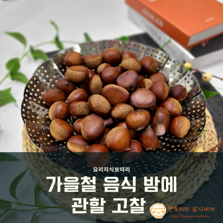 가을철 간식 추천 맛있는 밤 찌는 법 밤 삶는 법 알아보기 가을철 간식 추천 맛있는 밤 찌는 법 밤 삶는 법 알아보기