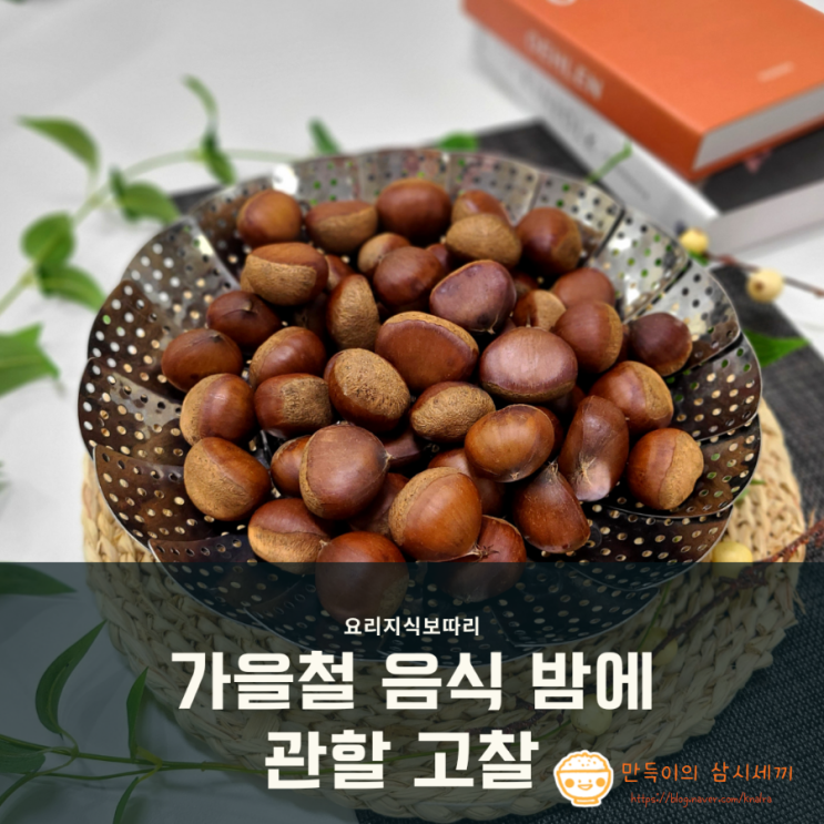 가을철 간식 추천 맛있는 밤 찌는 법 밤 삶는 법 알아보기