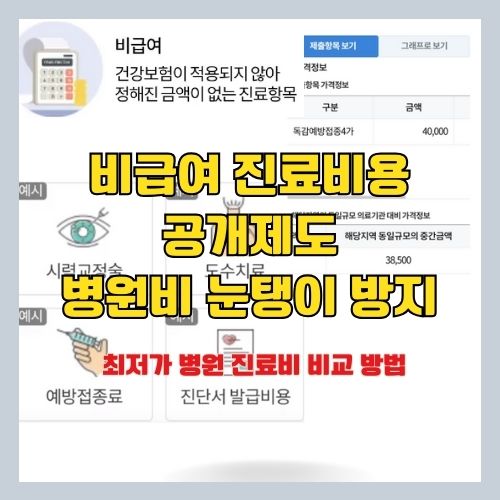 병원 진료비 비교는 건강보험심사평가원 공식 앱으로 - 독감예방접종 가격 등 비급여 진료비 절약하는 방법